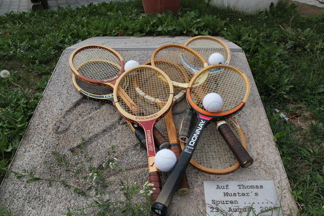 IMG 3493